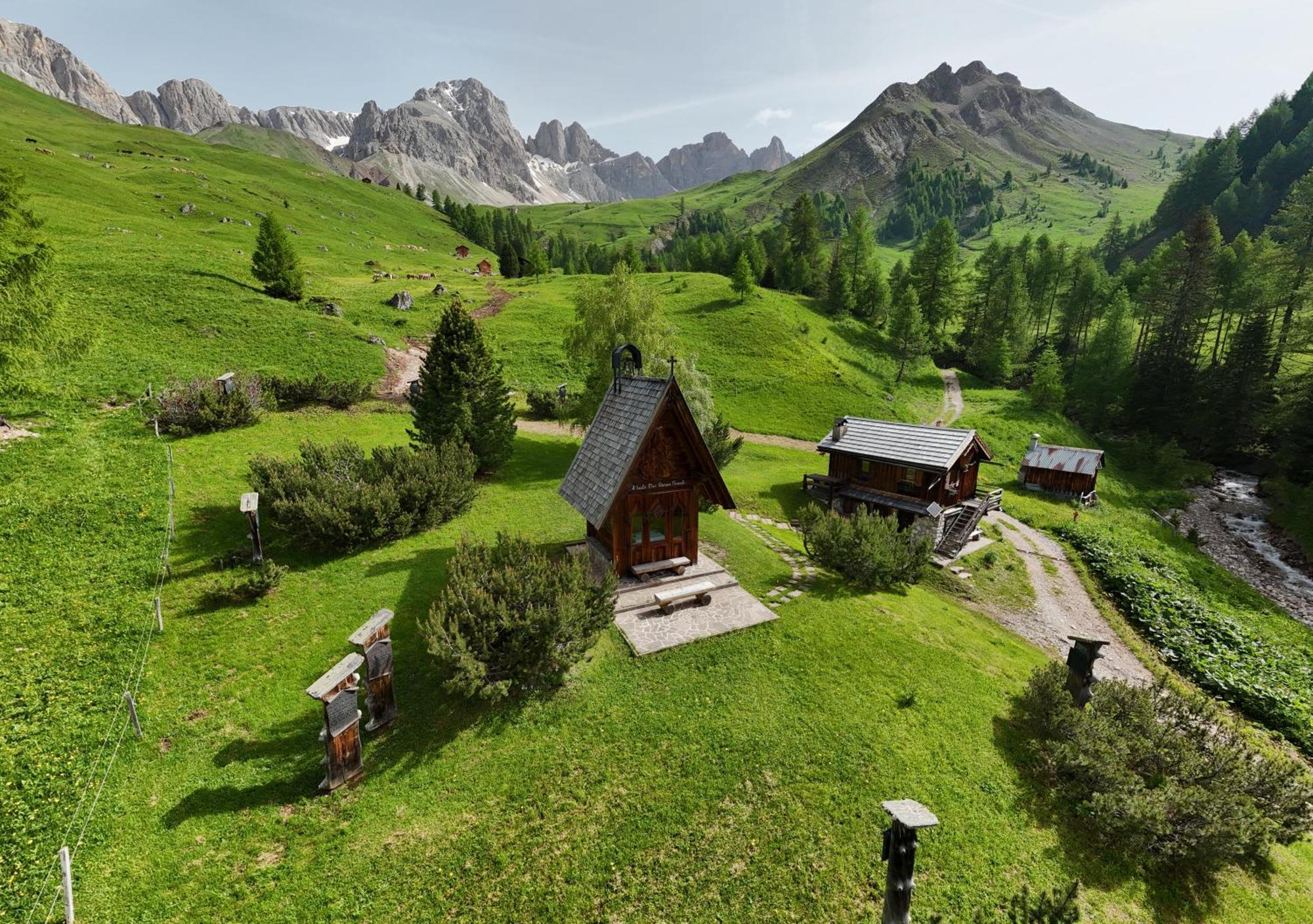 Rifugio Flora Alpina Hotel Passo San Pellegrino Exterior foto